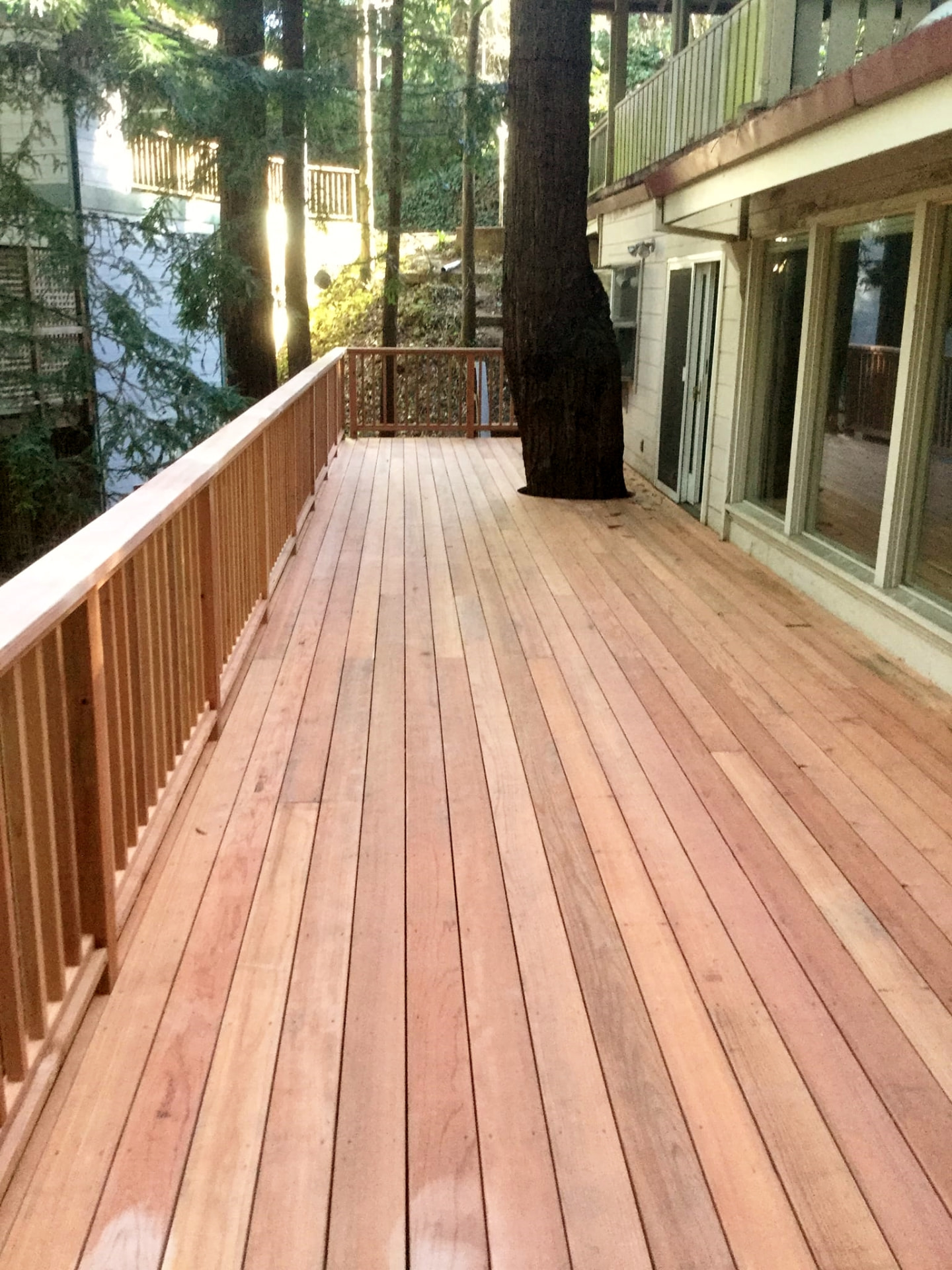 A long wood deck with a slatted railing running alongside a house, built around the trunk of a large tree.